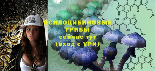 стафф Нязепетровск
