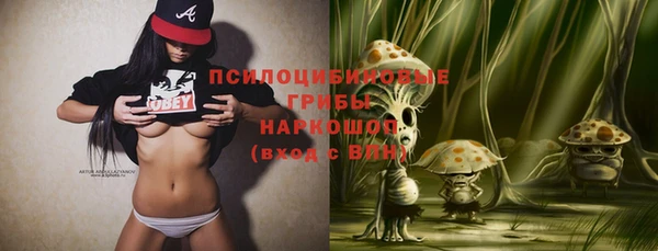 герыч Няндома