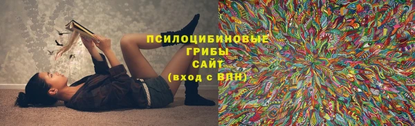 меф Нягань