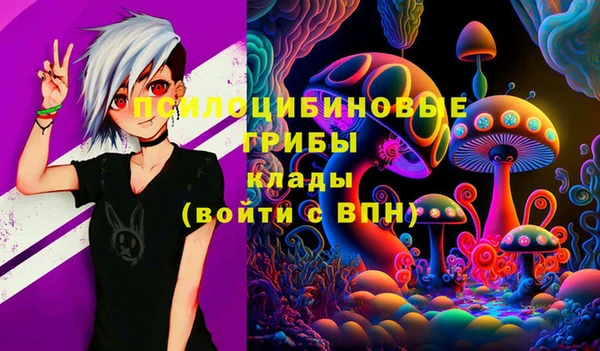 герыч Няндома